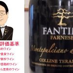 【ソムリエ麦ちゃんテイスティングコメント】ファンティーニ　モンテプルチアーノ・ダブルッツオ　コッリーネテラマ－ネ　2012