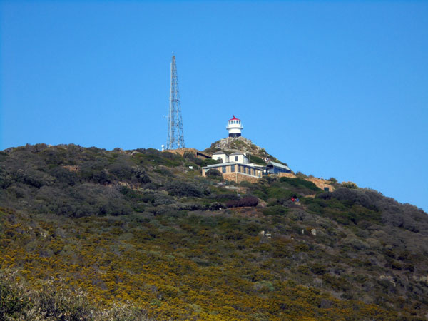 喜望峰（Cape of good hope）を訪れる