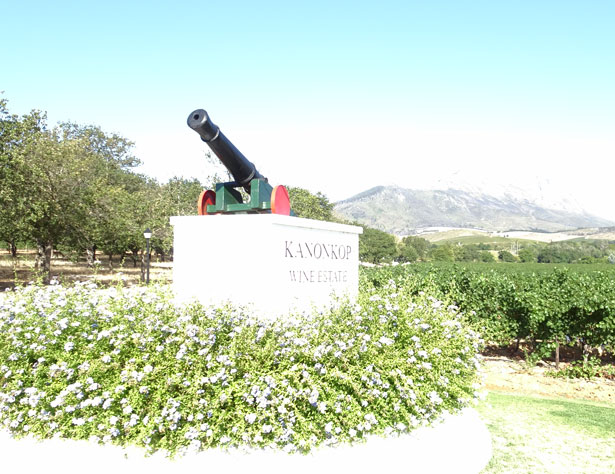 南アフリカワイン訪問記- カノン・コップ（ステレンボッシュ）