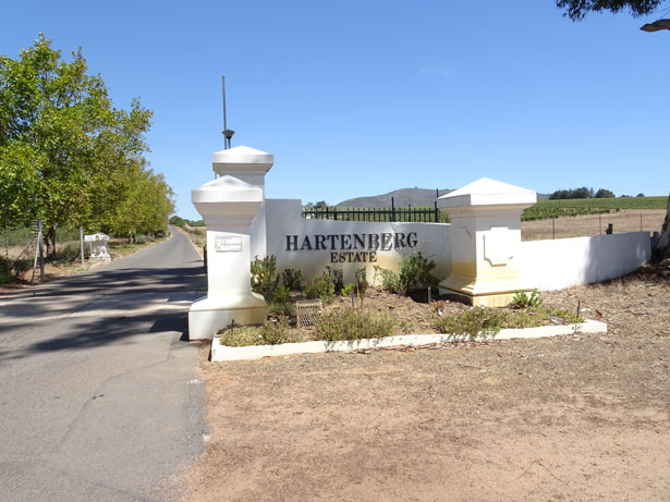南アフリカワイン訪問記-ハーテンバーグ訪問