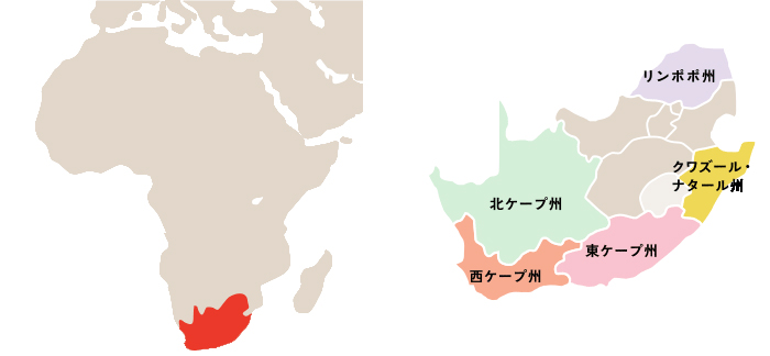 南アフリカワインの魅力