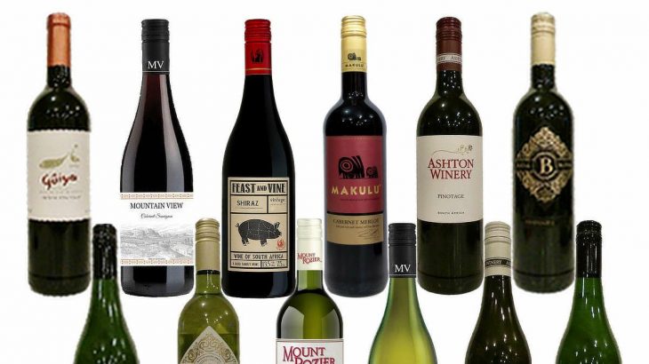 コスパに優れた南アフリカワイン！ 【一番人気のセットがコレ！】 南アフリカ日常ワイン赤白 12本セット　2024年4月17日配信ワインニュースレター