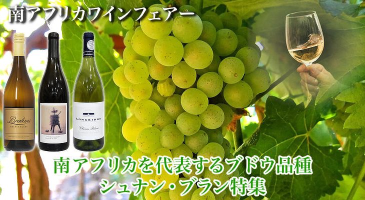 南アフリカワインフェアー！ 南アを代表するブドウ品種『シュナン・ブラン』特集