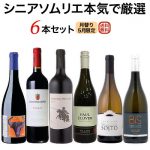 シニアソムリエ本気で厳選6本5月のセット