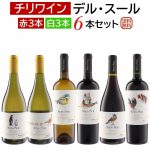 チリお買い得日常ワイン デル・スール6本セット（赤3本・白3本）