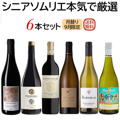 本日販売開始！『9月のセット』 シニアソムリエ本気で厳選6本★ 世界のワイン飲み比べ！ まとめ買いクーポン利用で550円OFF♪　2025年9月1日配信ワインニュースレター