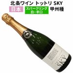 北条ワイン トットリ スカイ SKY NV
