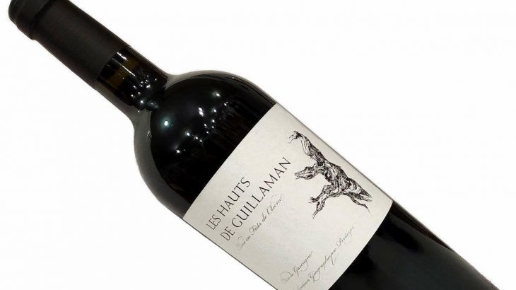 良年だけに造られる限定生産メルロ！ガスコーニュ地方の掘出物★豊潤で複雑！ボリューム満点で柔らかい♪　2025年11月19日配信ワインニュースレター