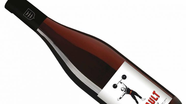 フランスにもあった！ サンソー100％の赤！ これぞ掘出物★1,970円ですが 麦ちゃん評価4.05点♪ 透明感がありピュアでチャーミング♪　2025年12月3日配信ワインニュースレター