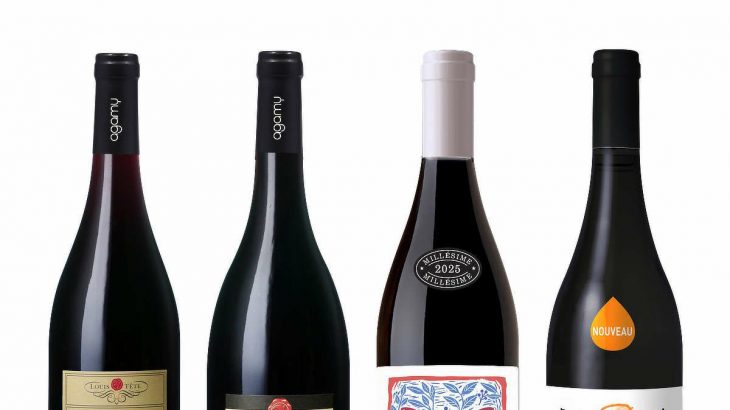 船便ボジョレー・ヌーヴォー入荷★ 船便だからお買い得♪ 4アイテムのヴィラージュ・ヌーヴォー！ いずれも少量入荷だから雄見逃しなく！　2026年1月14日配信ワインニュースレター