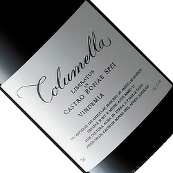 コルメラ　2023 　サディ・ファミリー・ワインズ