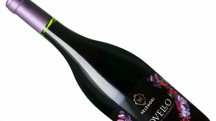 ヴェレノージ・ノヴェッロ残り26本！ 今シーズン最後のノヴェッロ★ 麦ちゃん評価4.1点♪ 売り切れの際はご容赦下さいm(_ _)m　2026年4月12日配信ワインニュースレター