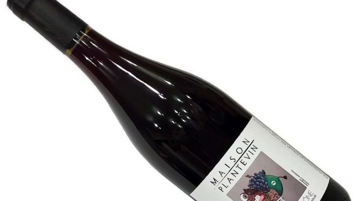 スパイシー感が突出した力強くパワフルなコート・デュ・ローヌ・ルージュ！日本人の奥様と夫婦二人三脚で営む自然派ワイン！　2026年4月7日配信ワインニュースレター