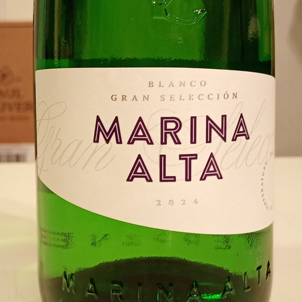 マリーナ・アルタ　2024　ボコパ