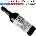 センツァ・メタ　ネーロ・ディ・トロイア 2024