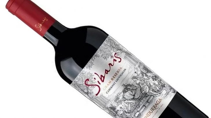 濃厚カベルネならコレ！2,090円でこの完成度★【麦ちゃん評価4.1点】飲み応え十分のコスパ抜群チリワイン　2026年6月22日配信ワインニュースレター