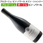 ブルゴーニュ　ピノ・ノワール メゾン・シャンジー 2023