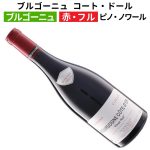 ブルゴーニュ　コート・ドール 2024　ドメーヌ・コワイヨ